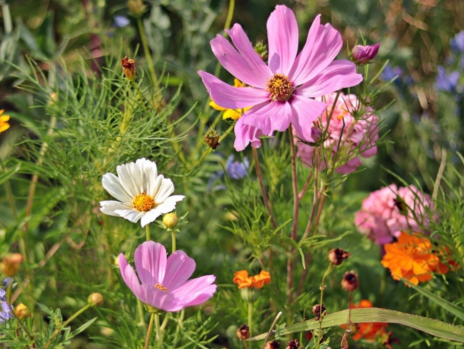 Gmina Wisznice. Warsztaty florystyczne