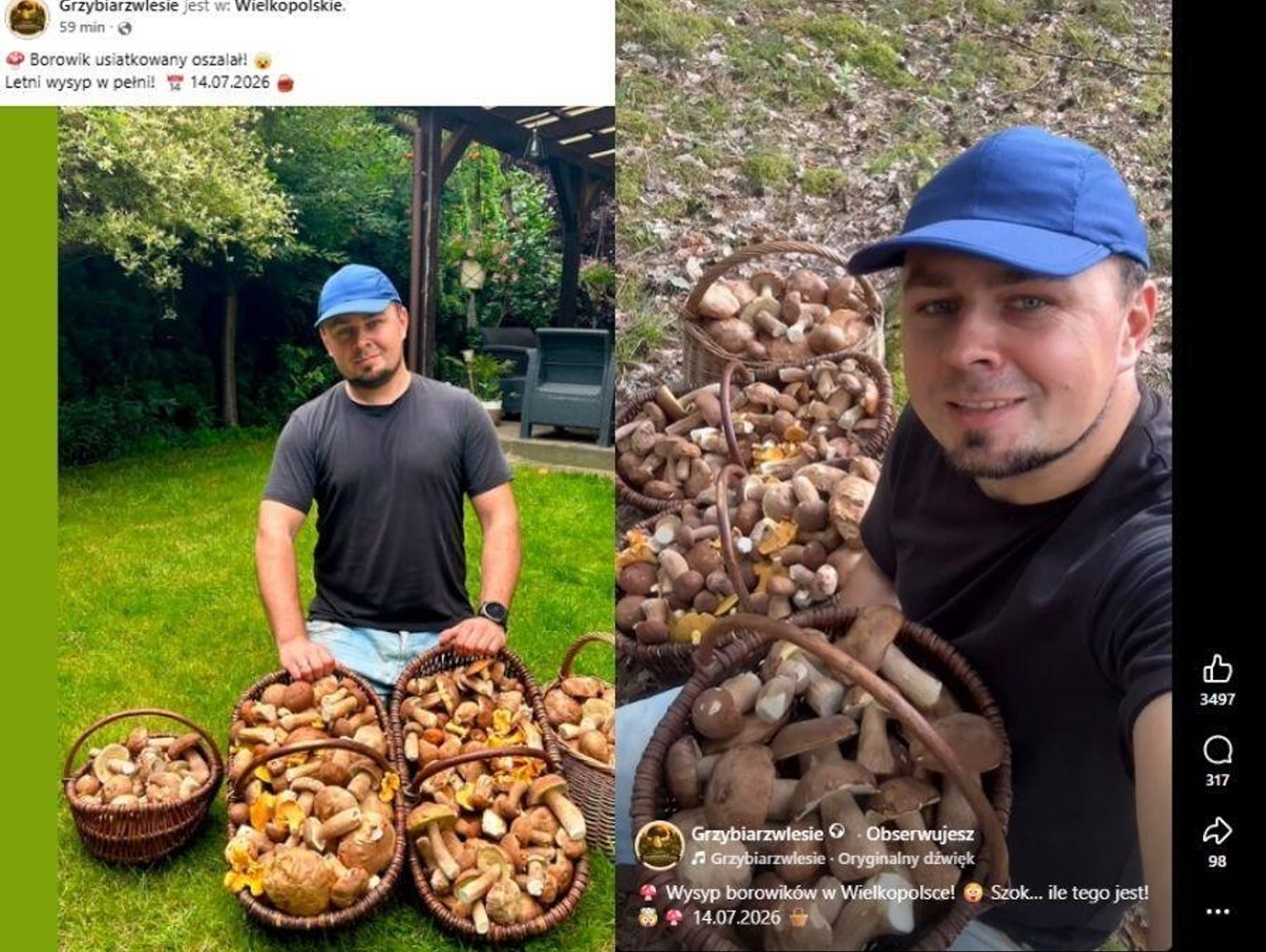 Kraj. Grzybiarz pokazał imponujący zbiór. Prawdziwy wysyp czy AI?