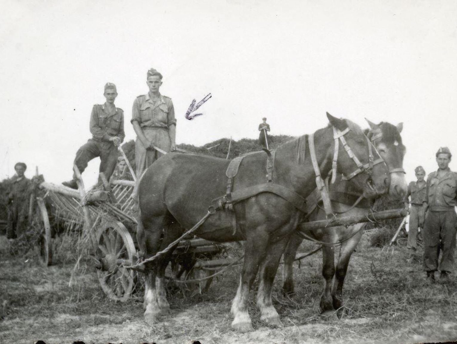 Lubelskie. Historia: Jak Stalin "prostował" granicę Polski?