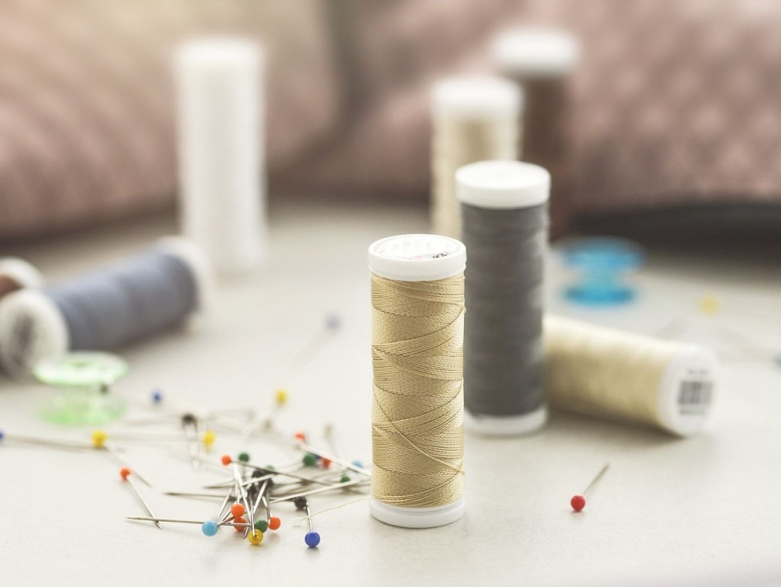 Janów Podlaski. Wernisaż prac Zofii Kaliszuk