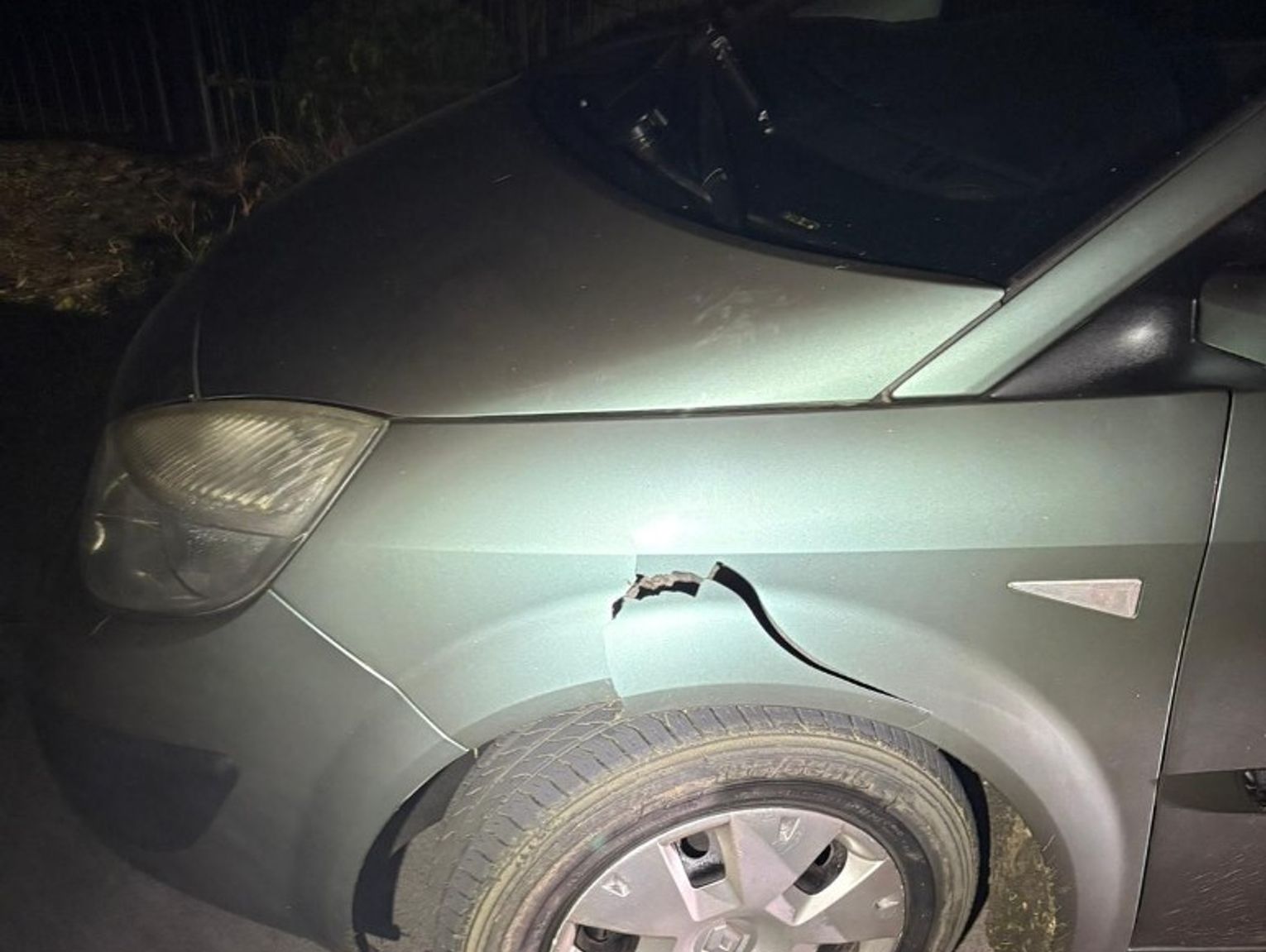 Jechał na cyku. Uszkodził krzewy na przypadkowej posesji i odjechał...