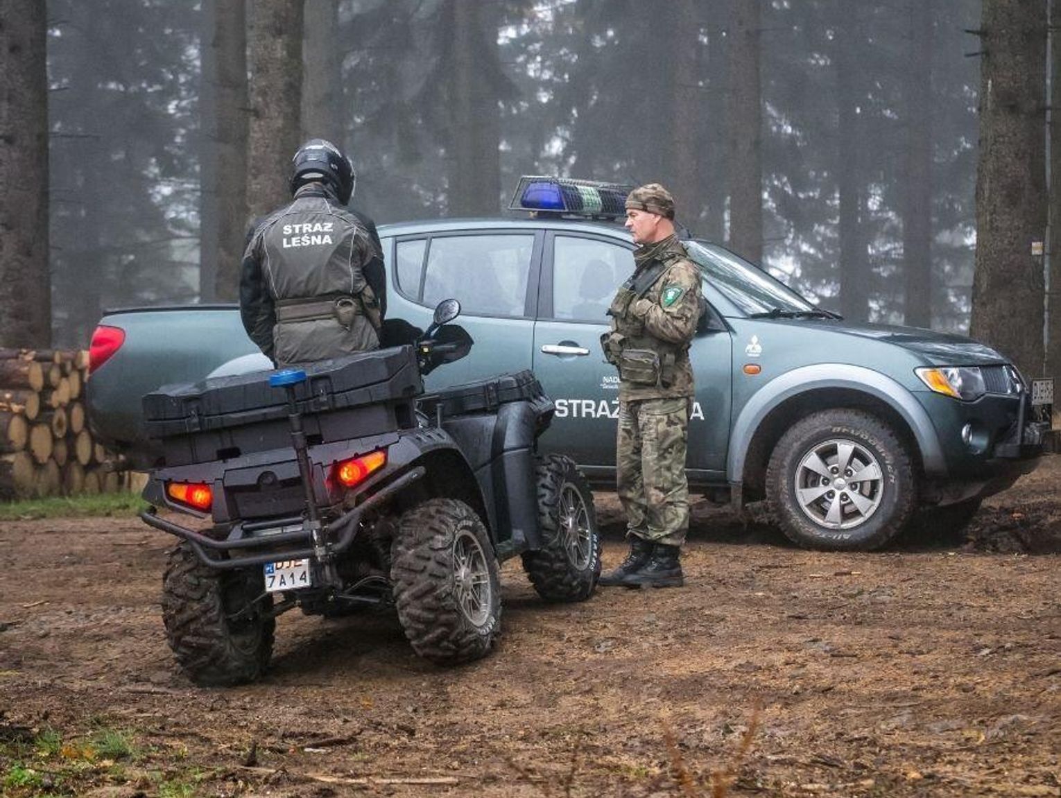 Jedziesz autem na grzyby? Uważaj, w lasach ruszają kontrole