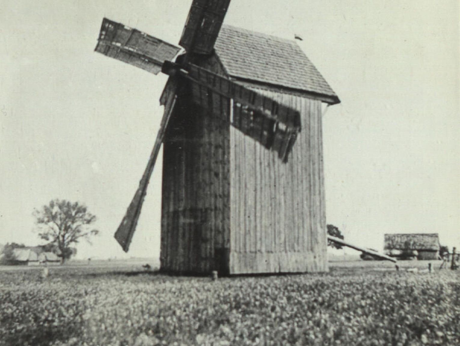 Śmierć od młyńskiego kamienia. „Synowi młynarza brzuch rozpruło”