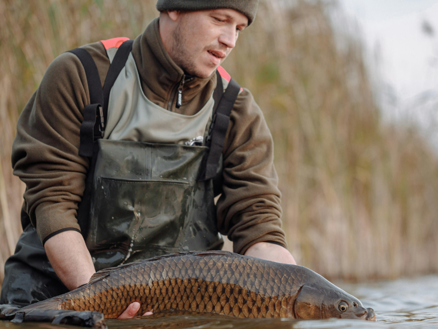 Karp w odwrocie? Zastępują go inne ryby