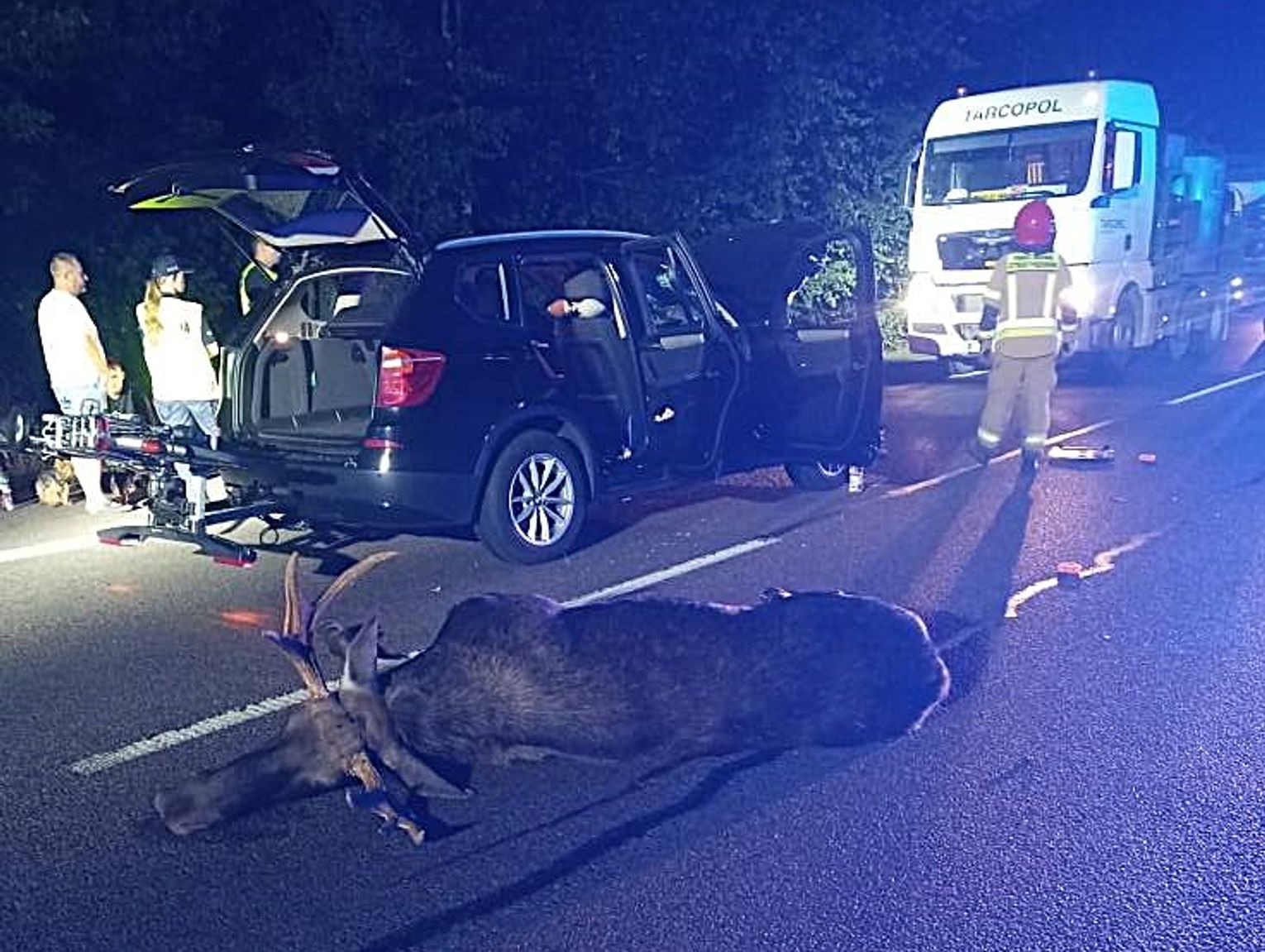 Kolizja z łosiem sparaliżowała ruch na krajowej „dwójce” [ZDJĘCIE]