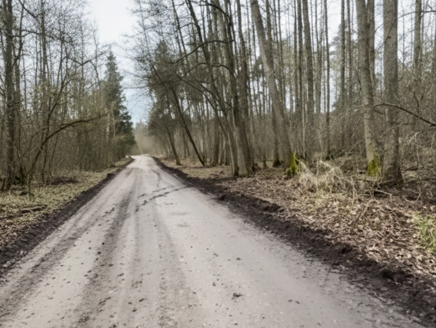 Kto zniszczył drogę? [FILM]