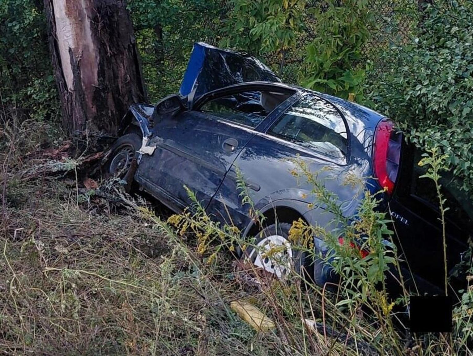 Małaszewicze Duże. Stracił panowanie nad autem. Uderzył w ciężarówki i drzewo