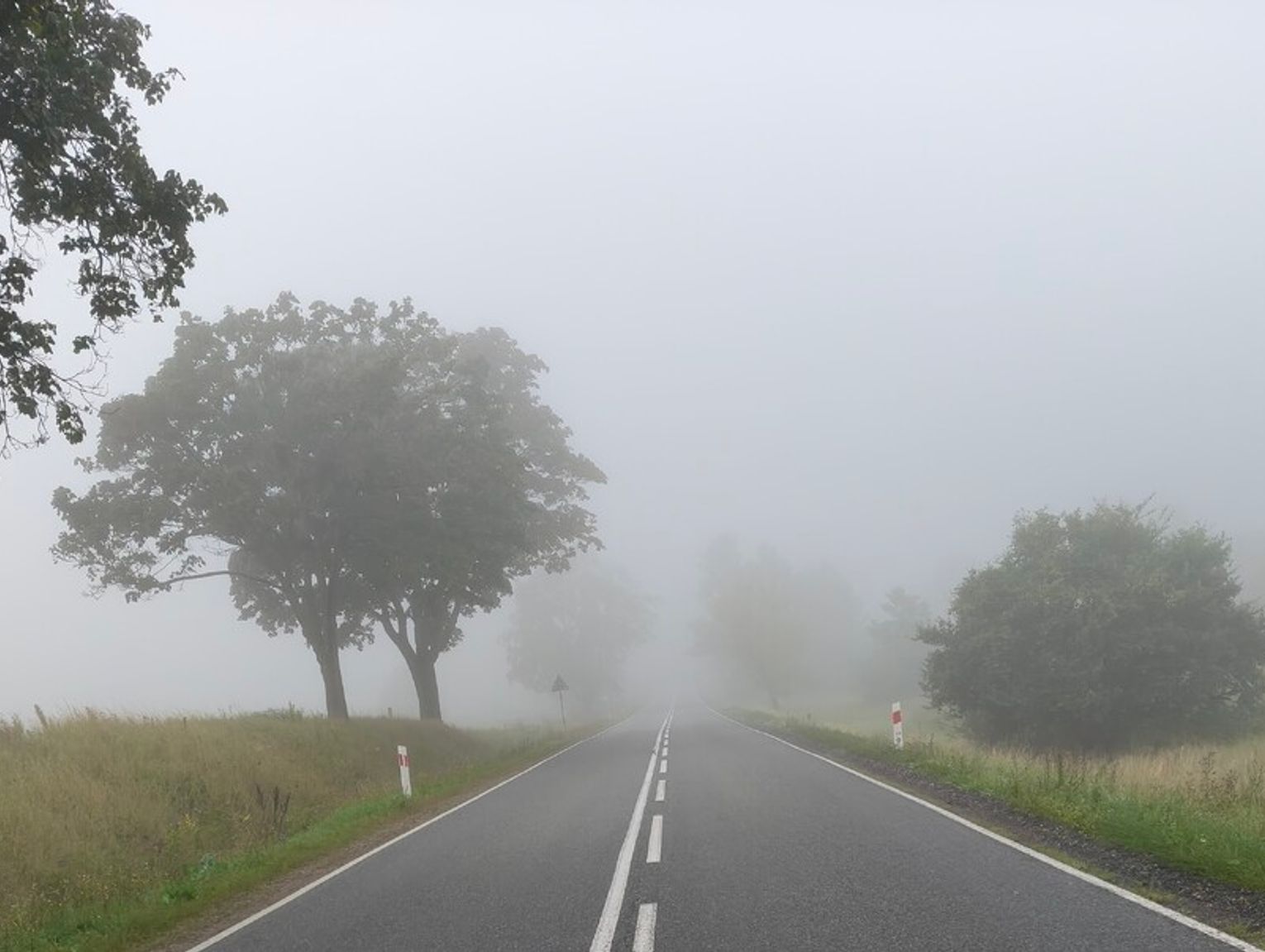 Mgły opanowały region od samego rana. Policja ostrzega