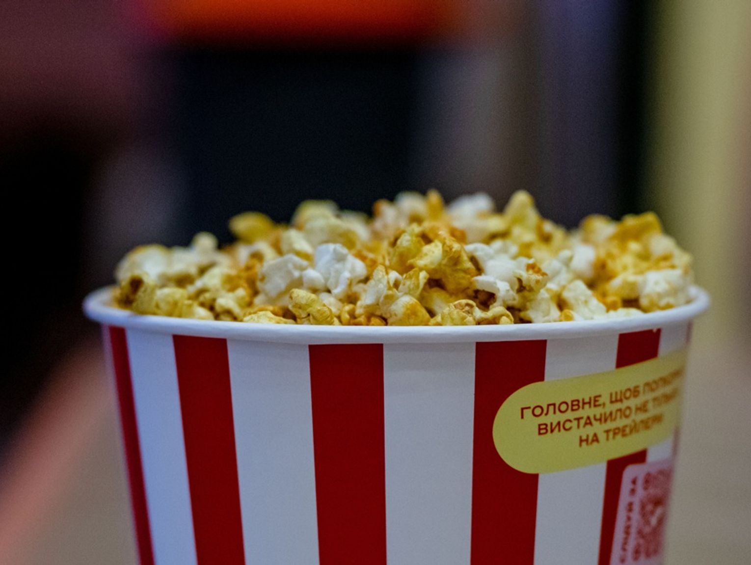 Międzyrzec Podlaski. Kino plenerowe w Parku Potockich