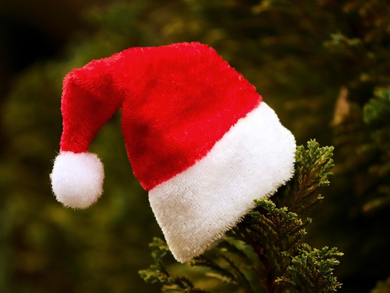 Międzyrzec Podlaski. Wyruszy orszak św. Mikołaja