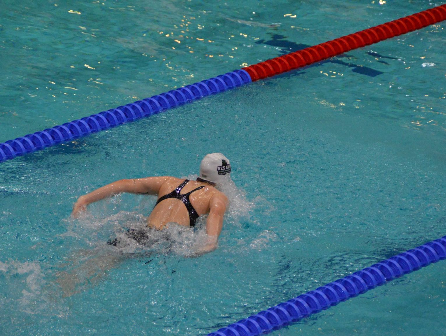 Młodzi pływacy AZS AWF Biała Podlaska na Mistrzostwach Polski Juniorów w Bydgoszczy i Gorzowie