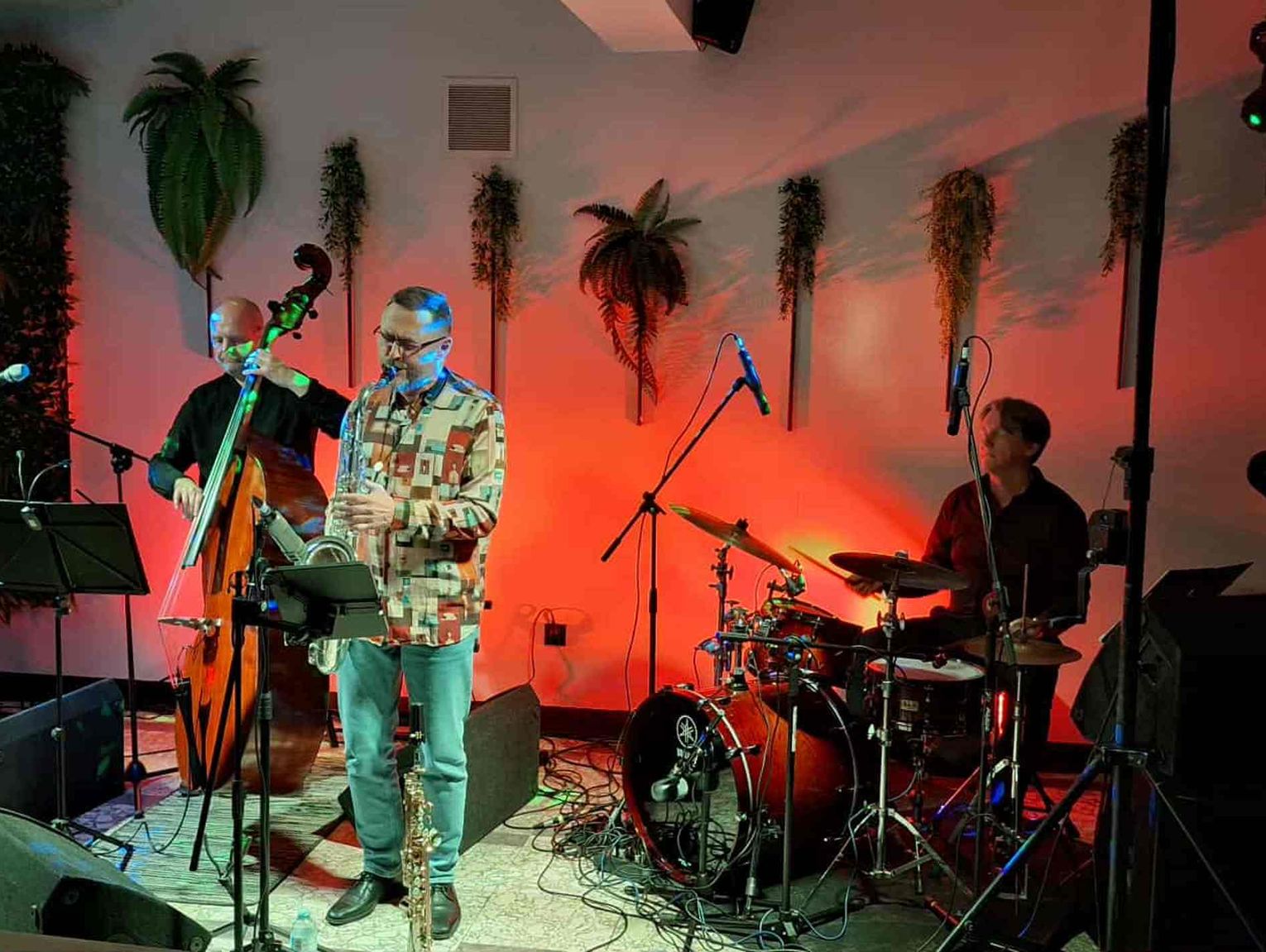 Nastrojowy koncert jazzowy