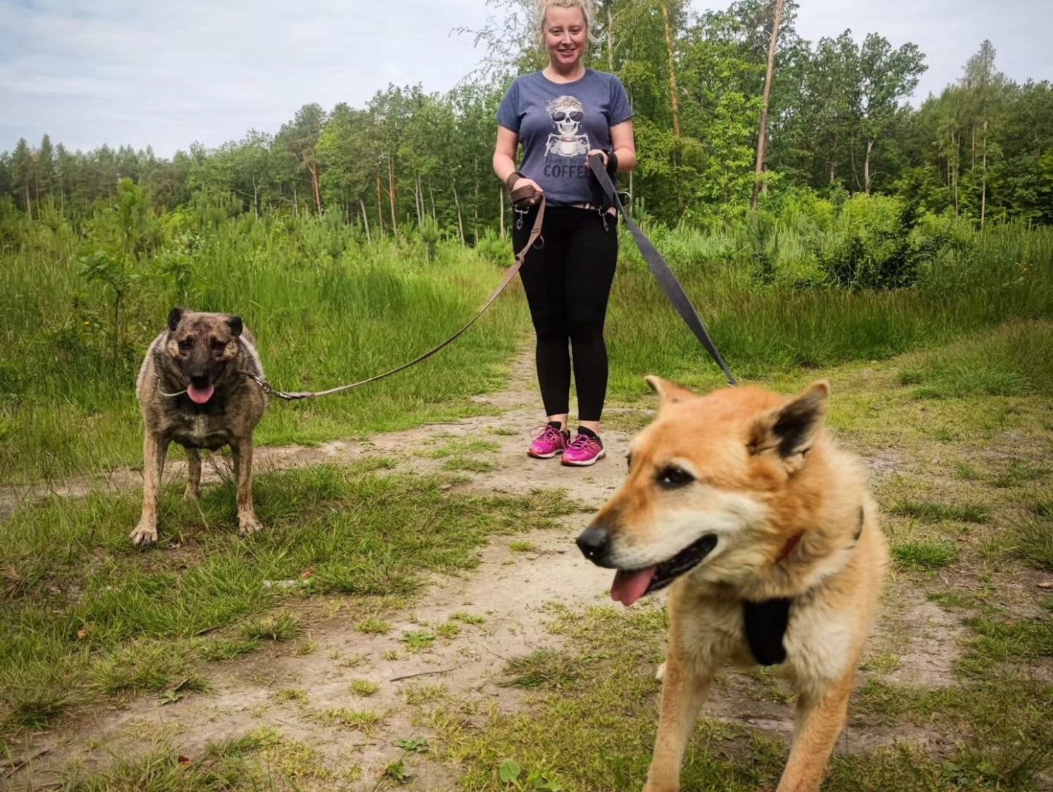 Niedziela z czworonogiem. Schronisko zaprasza na spacer