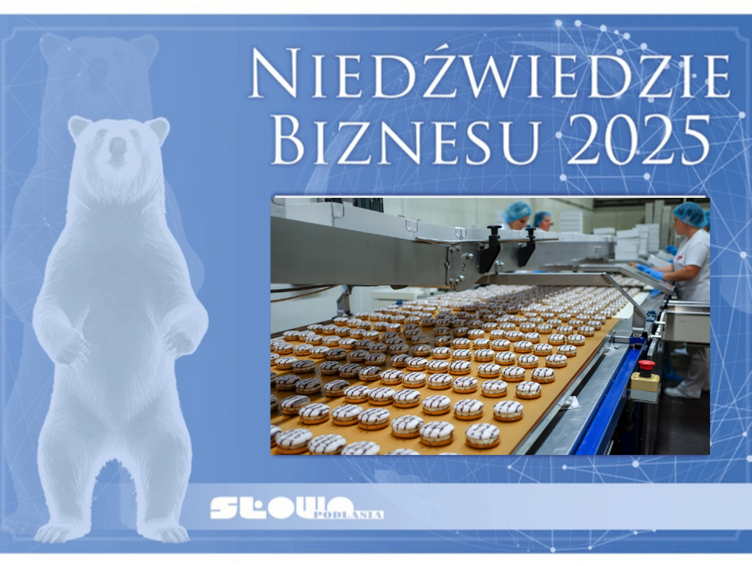 Niedźwiedzie Biznesu 2025, Dr Gerard [Kategoria: HANDEL I USŁUGI]