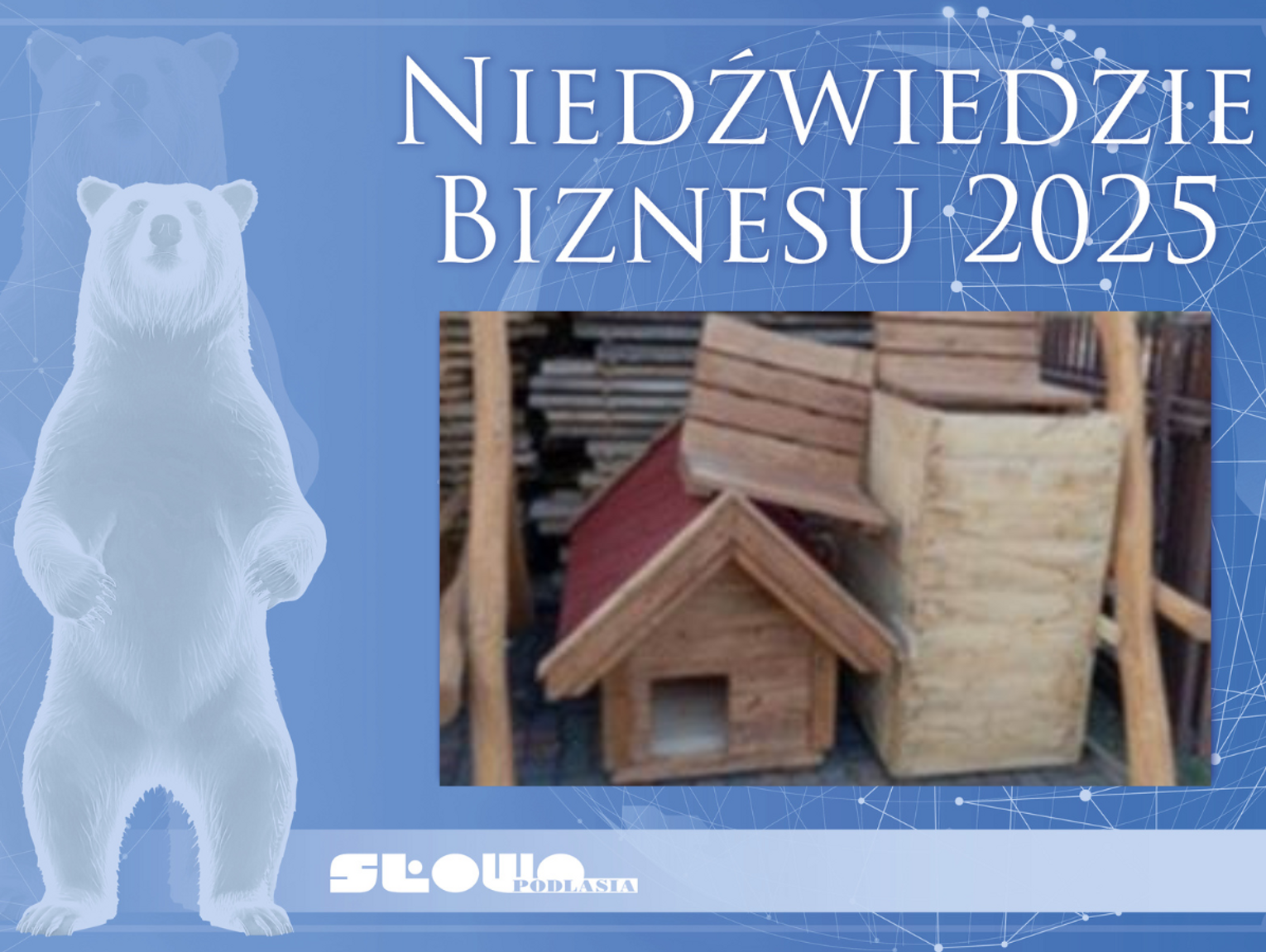 Niedźwiedzie Biznesu 2025, Lech Szewczuk – sprzedaż drewna kominkowego i opałowego [Kategoria: HANDEL I USŁUGI]