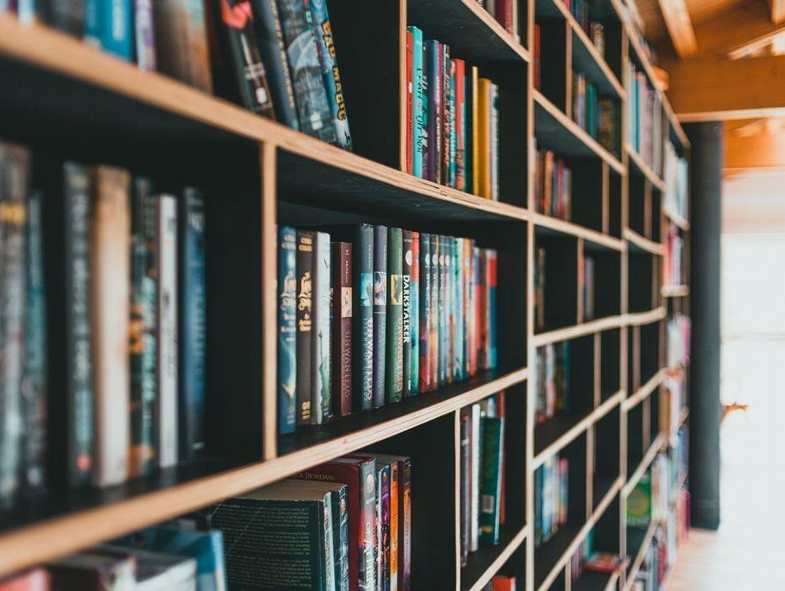 Noc Bibliotek w Białej Podlaskiej