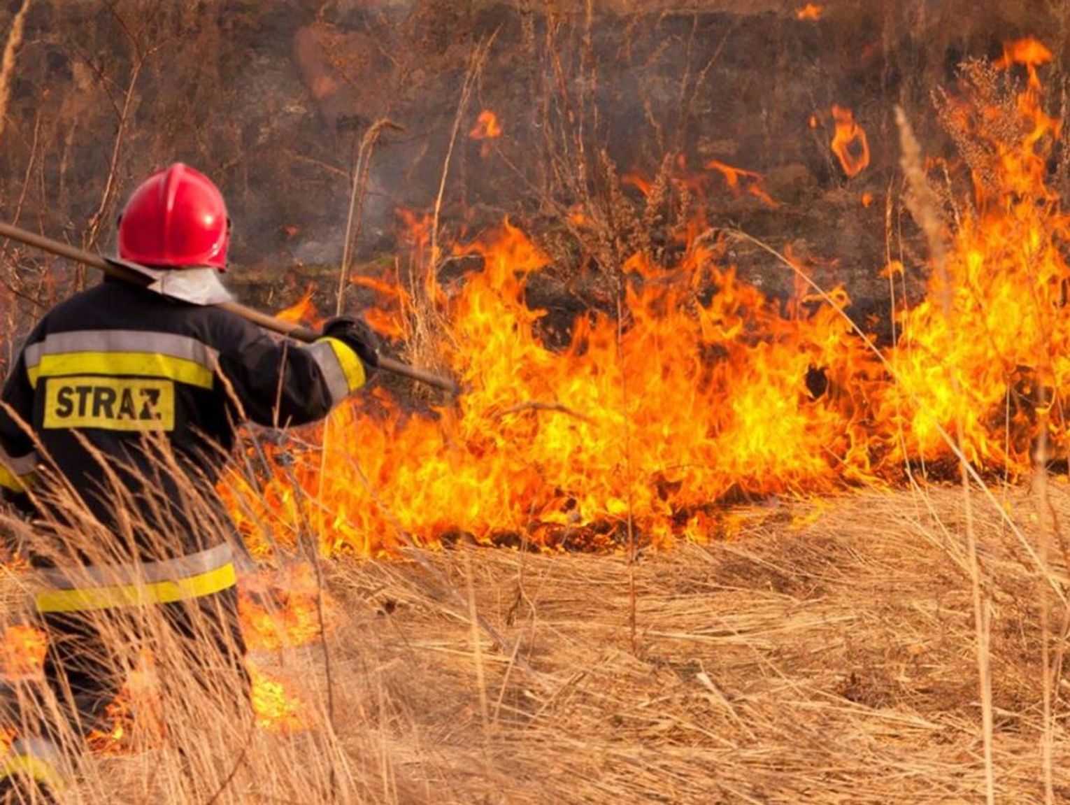 Od początku marca prawie 30 pożarów. Zaczęło się wypalanie traw