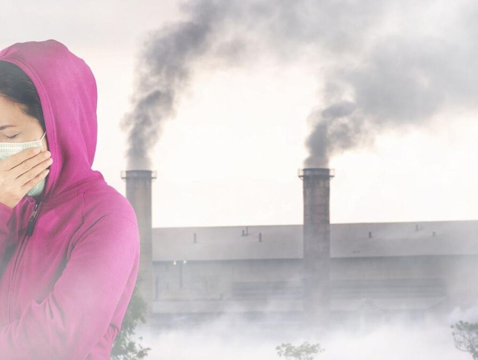 Oszustwo na... Czyste Powietrze. Naciągacze zastawiają pułapki