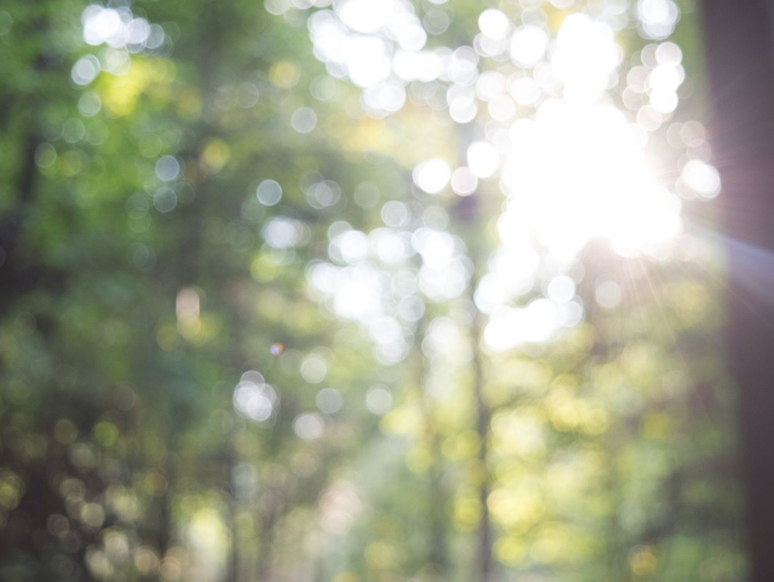 Pogoda na czwartek. IMGW wydało ostrzeżenia II stopnia