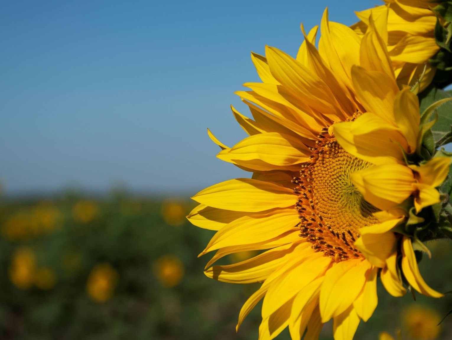 Pogoda na czwartek. Sprawdź, jaka będzie aura