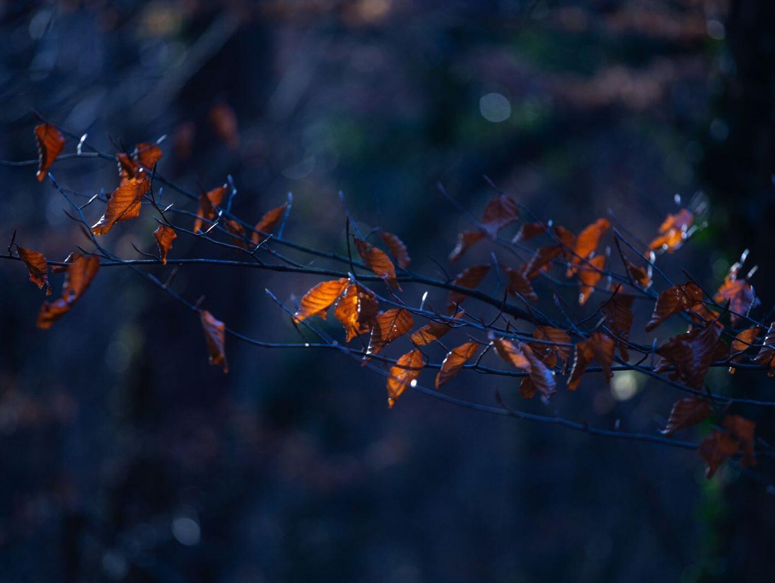 Pogoda na czwartek. Sprawdź, jaka będzie aura