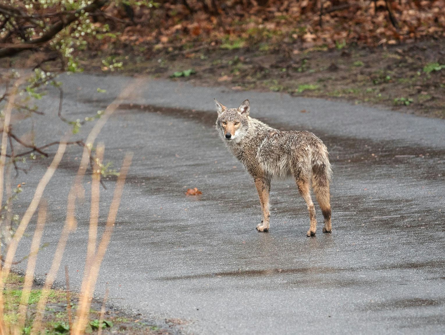 Pogoda na czwartek. Sprawdź, jaka będzie aura