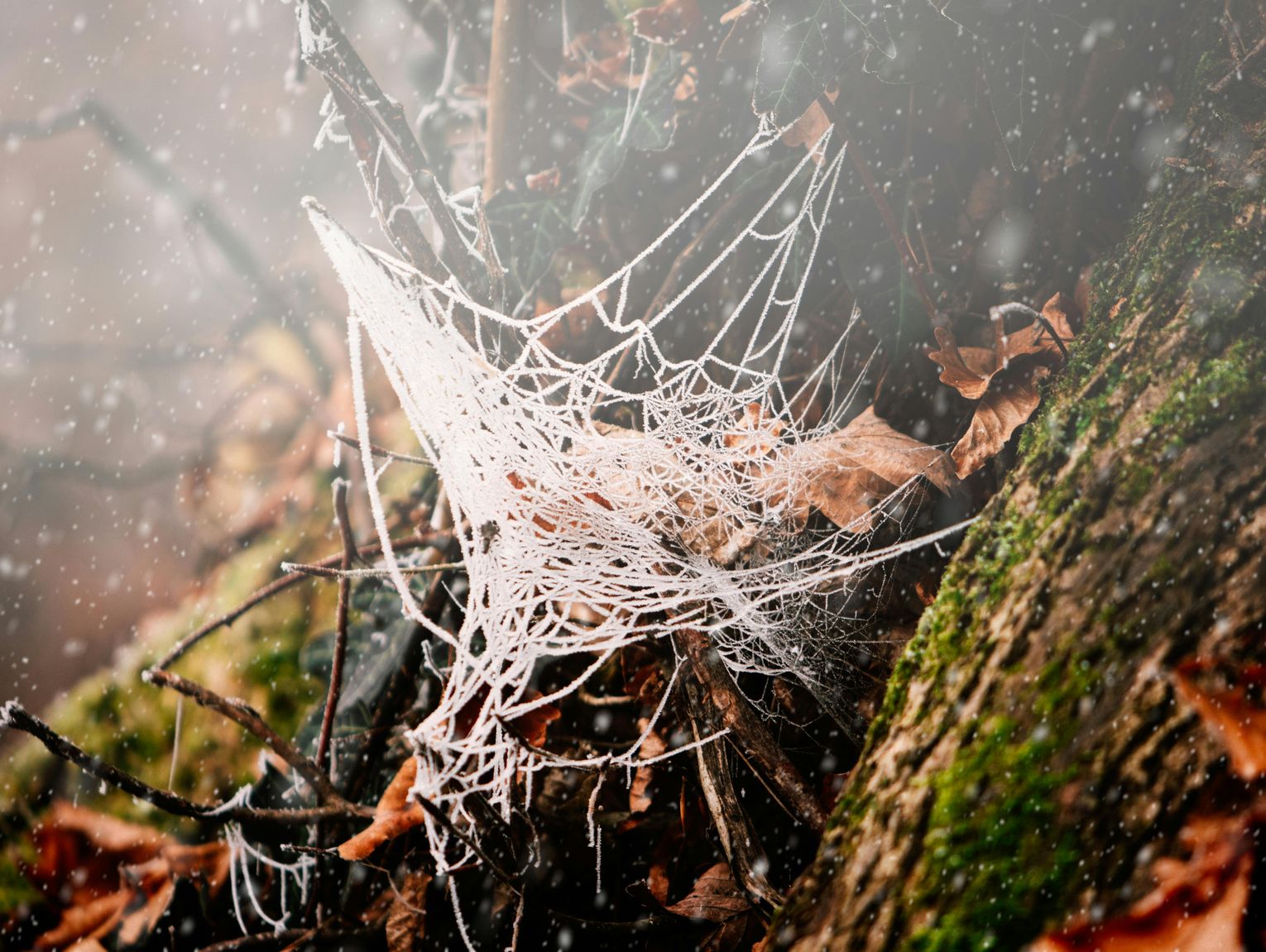 Pogoda na czwartek. Sprawdź, jaka będzie aura