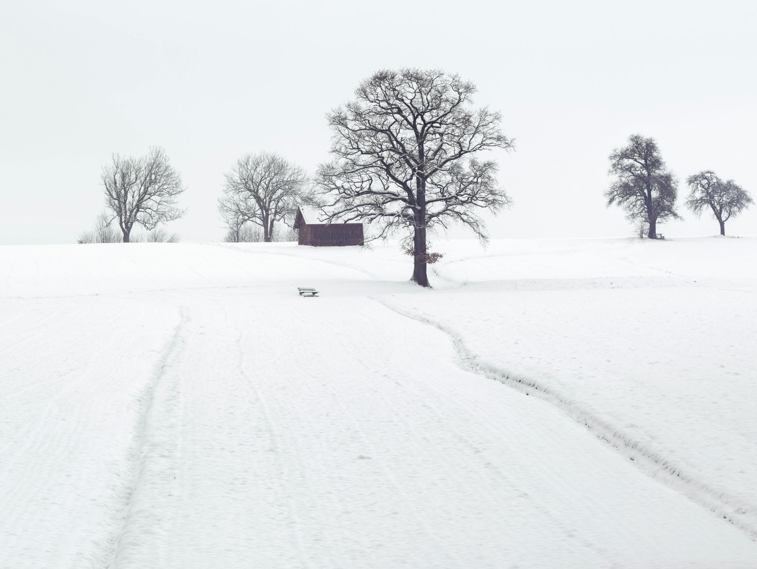 Pogoda na czwartek. Sprawdź, jaka będzie aura