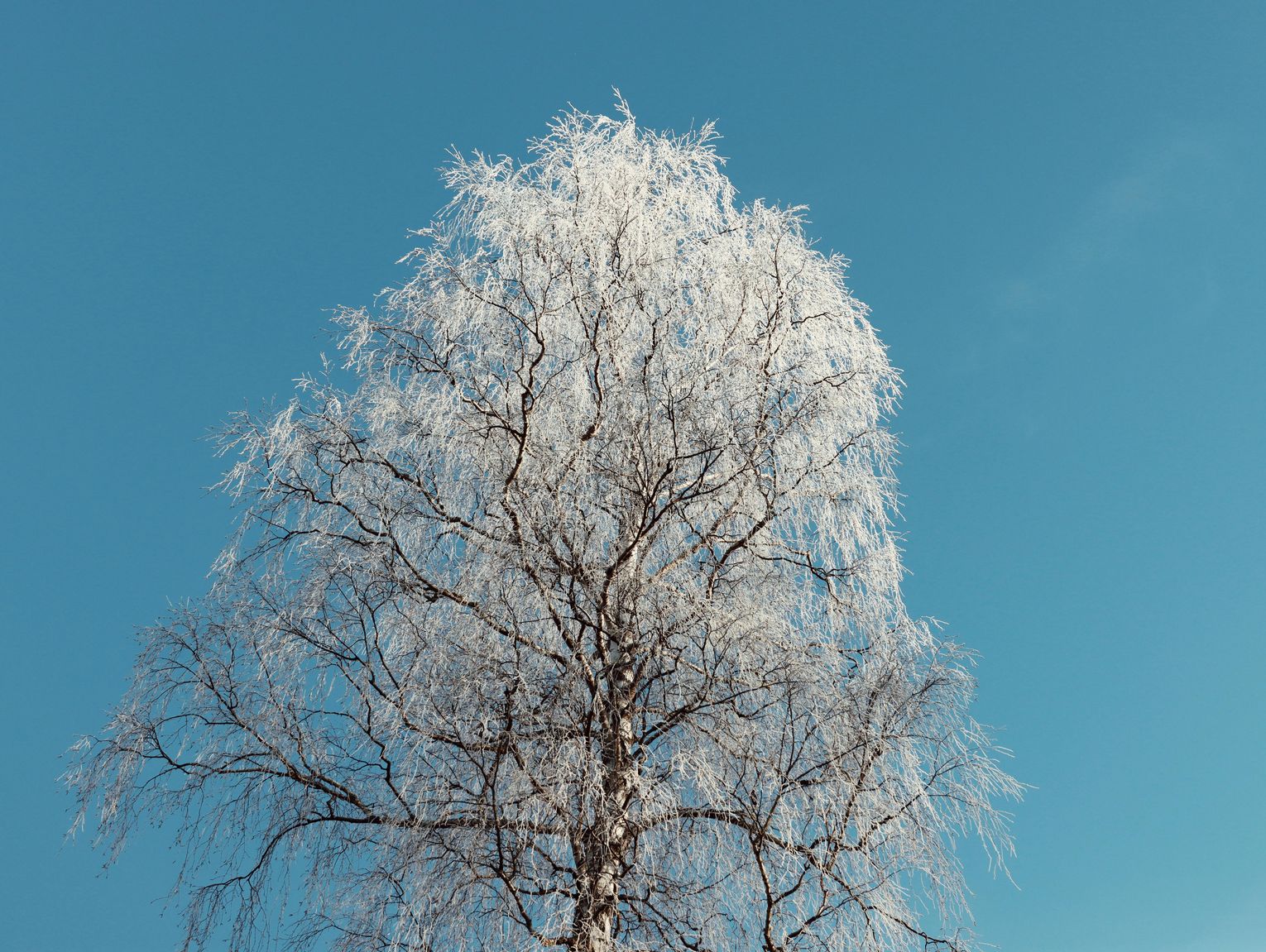 Pogoda na czwartek. Sprawdź, jaka będzie aura