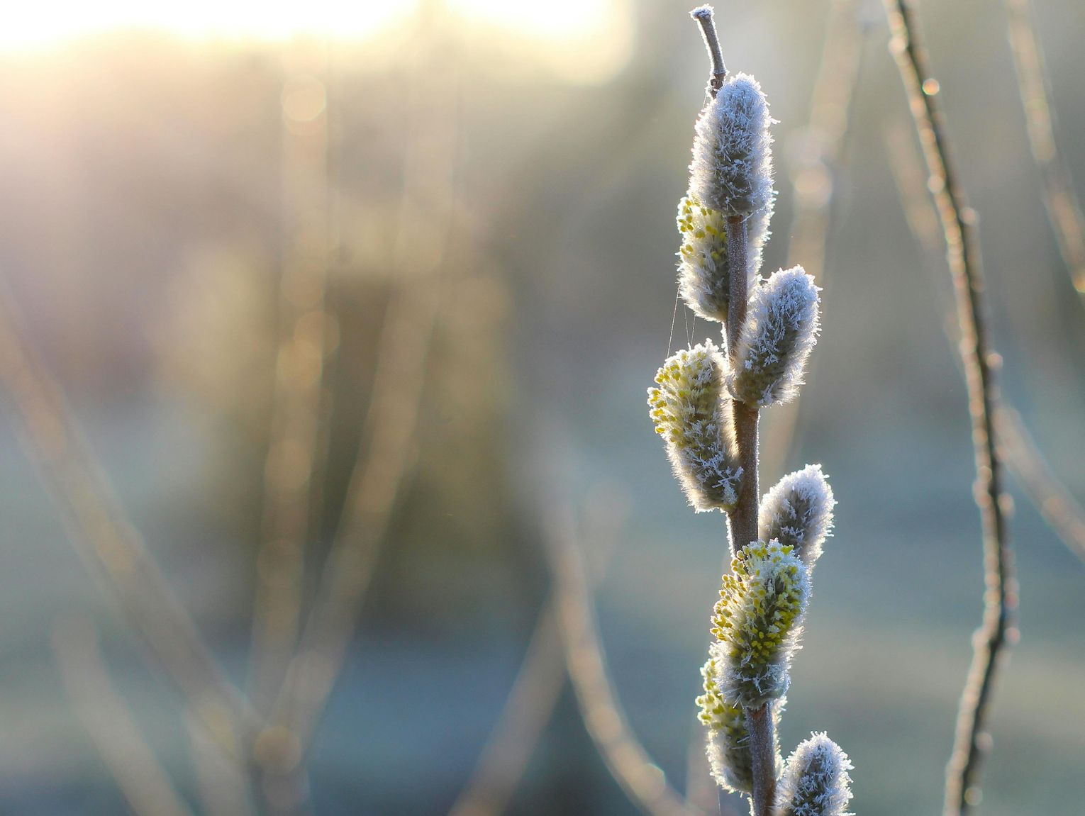 Pogoda na czwartek. Sprawdź, jaka będzie aura