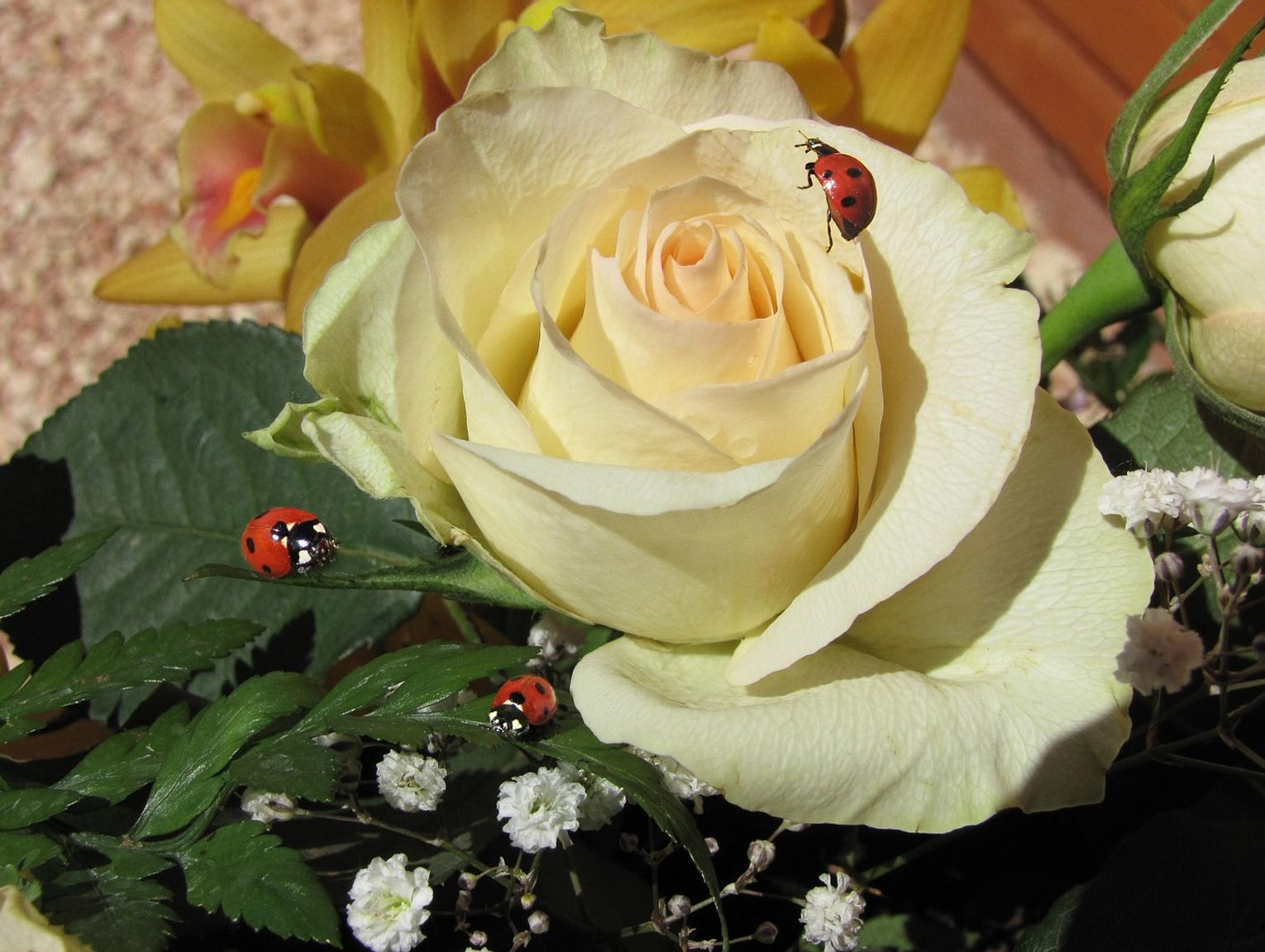 Region. Sprawdź, jaka będzie aura