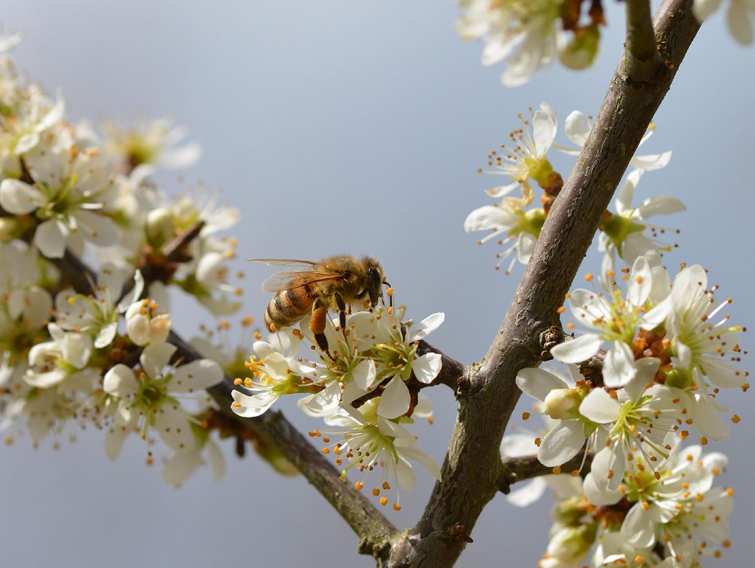 Pogoda na czwartek. Sprawdź, jaka będzie jutro aura