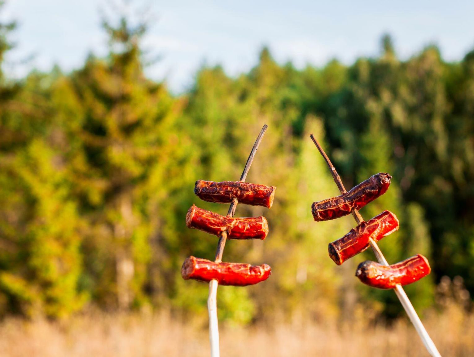 Pogoda na długi weekend [15-17 sierpnia]