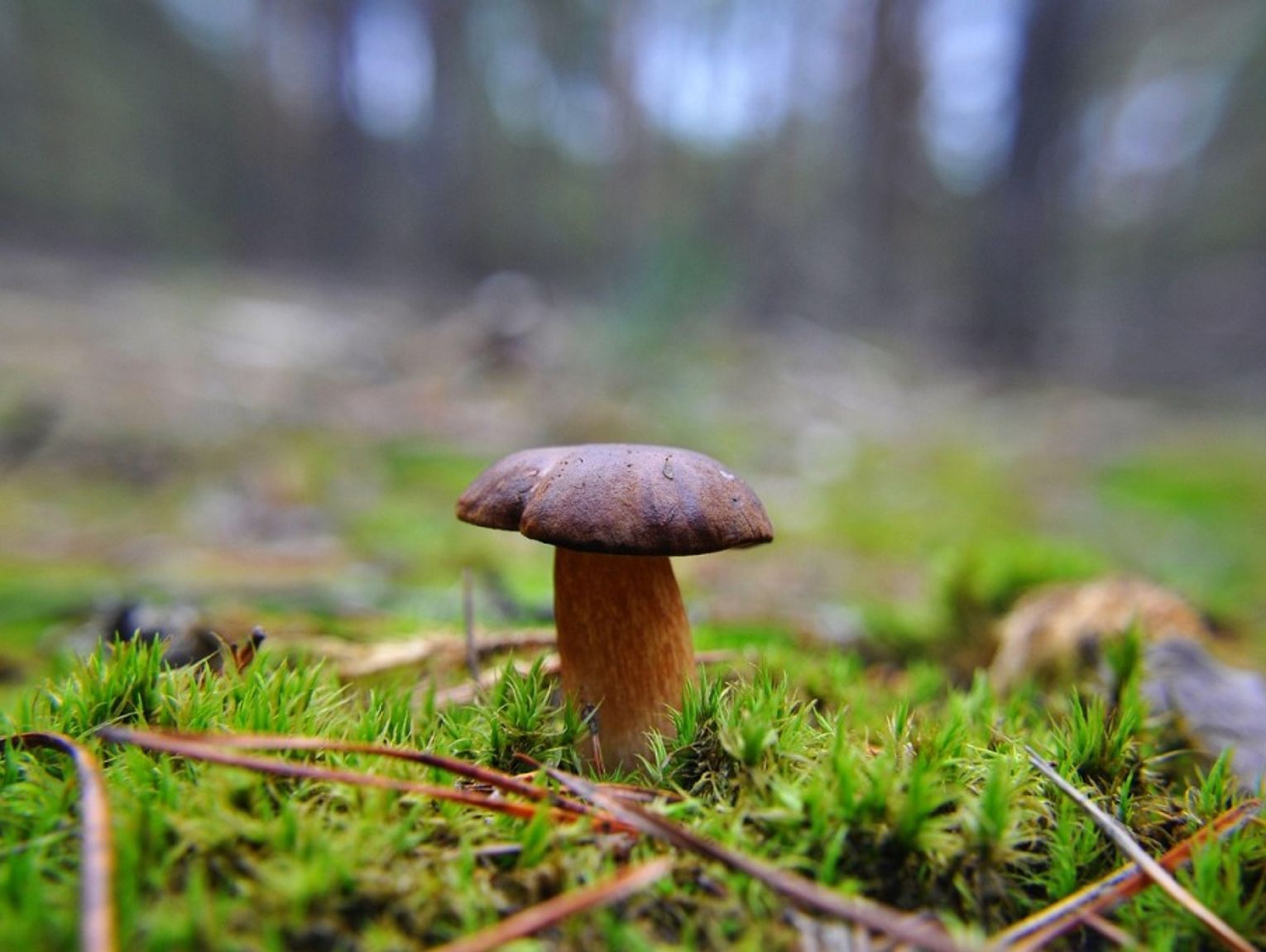 Jutro popada. Pogoda na piątek