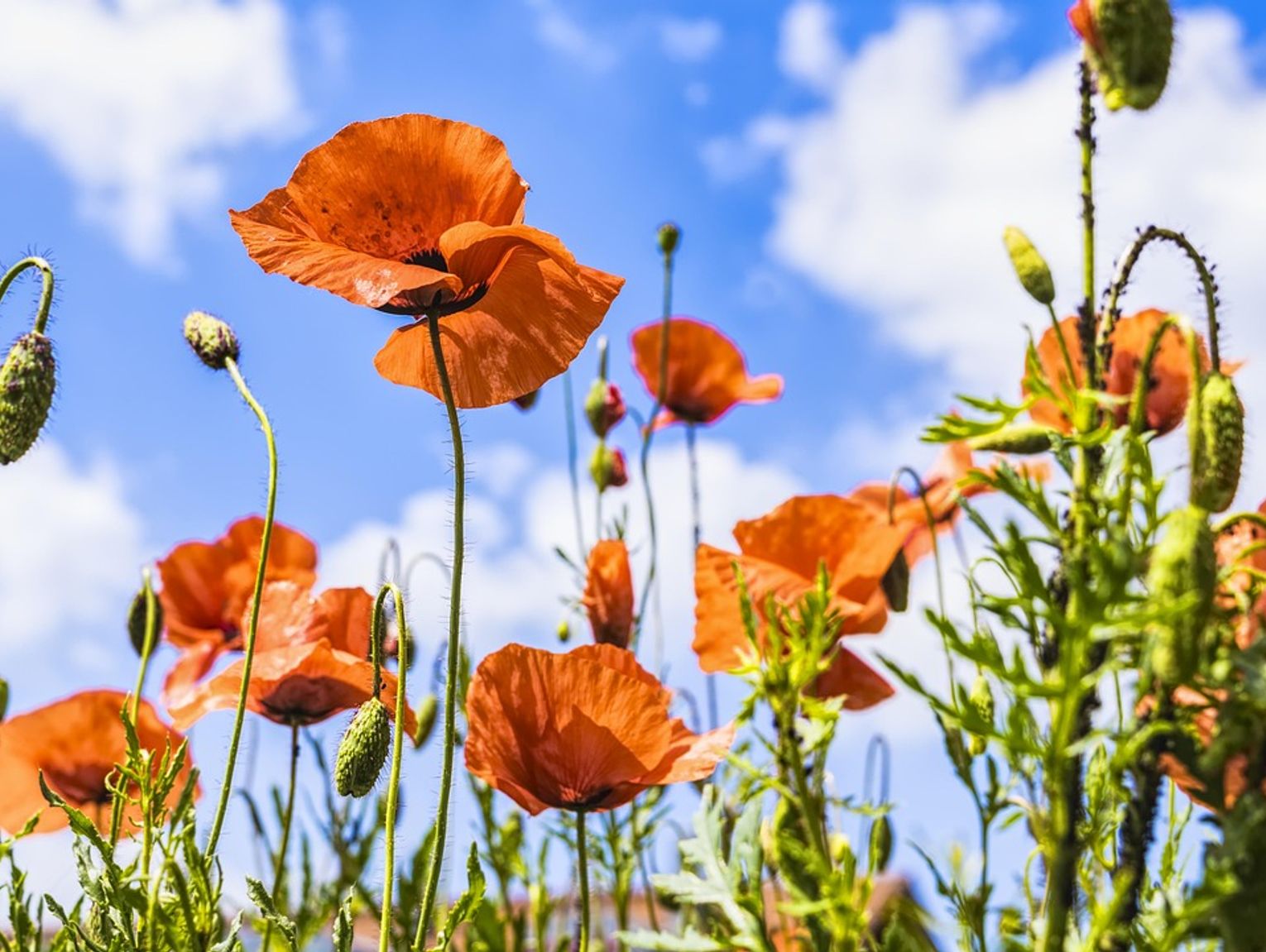 Pogoda na piątek. Czeka nas ciepły dzień