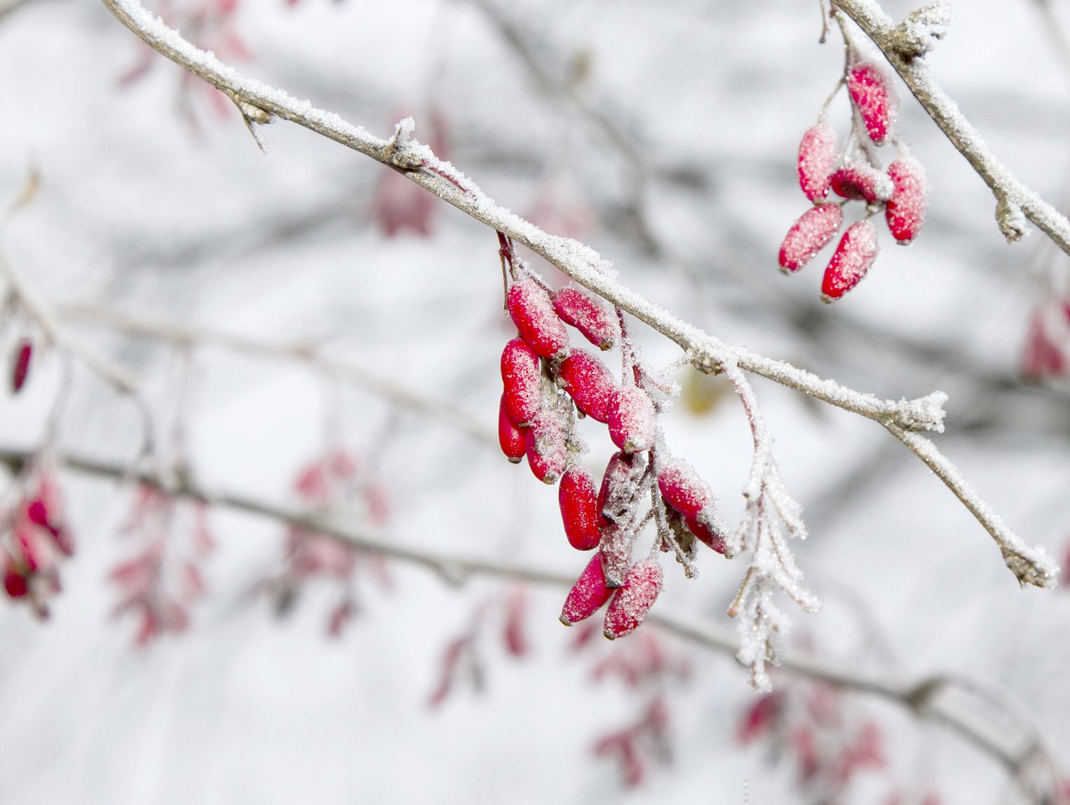 Pogoda na piątek. Mroźny poranek i chłodny dzień