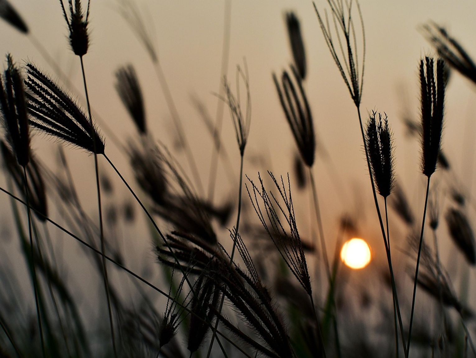 Pogoda na piątek. Najgorętszy dzień tygodnia