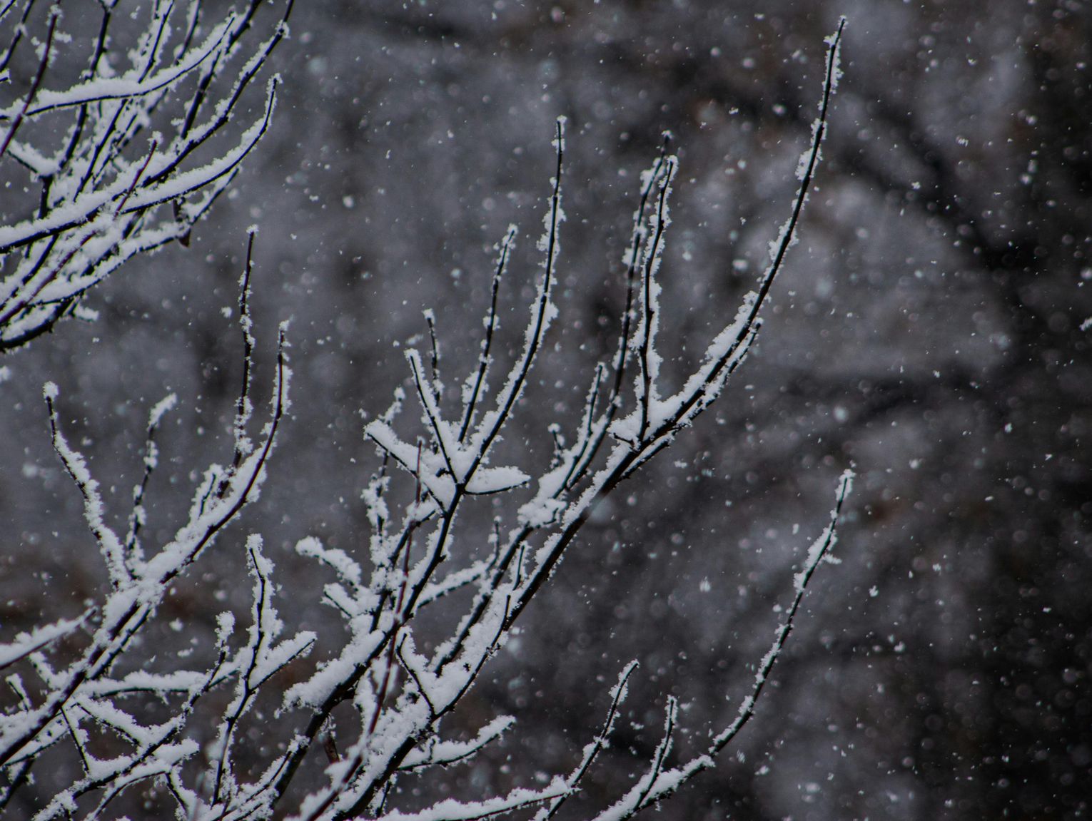 Pogoda na piątek. Sprawdź, jaka będzie aura