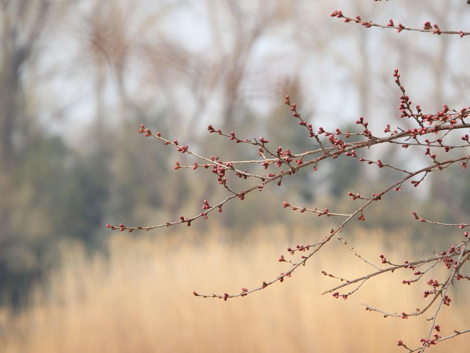Pogoda na piątek. Sprawdź, jaka będzie aura