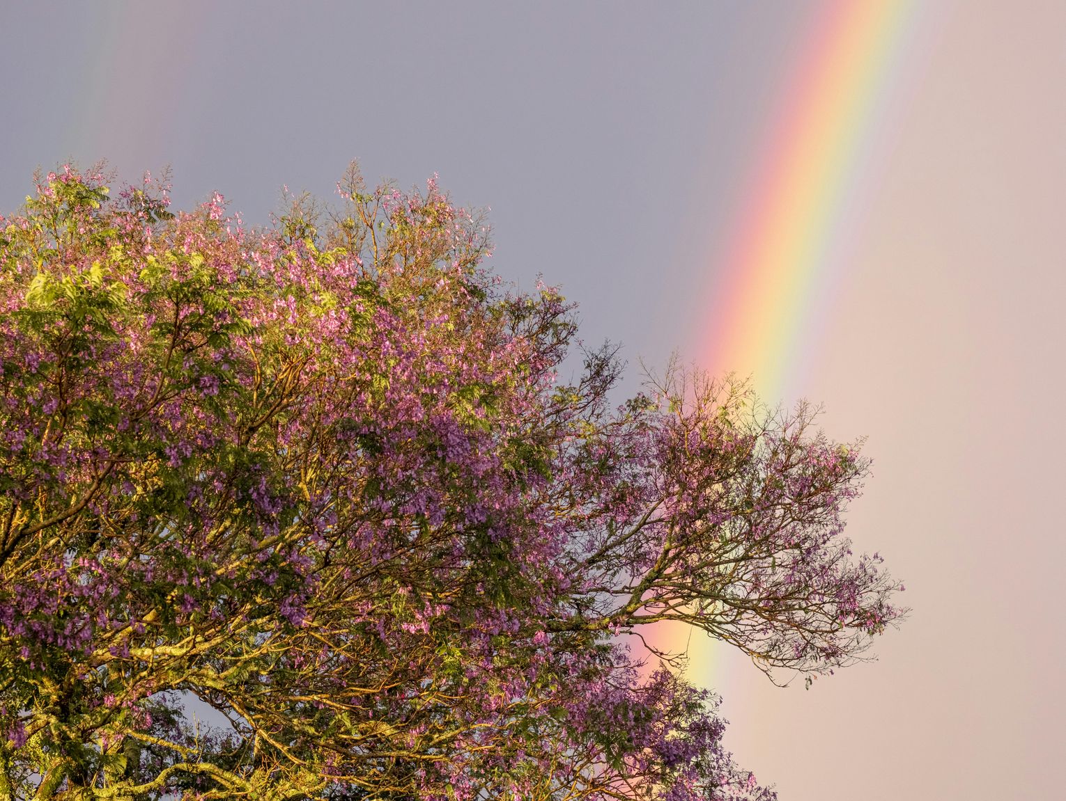 Pogoda na piątek. Sprawdź, jaka będzie aura