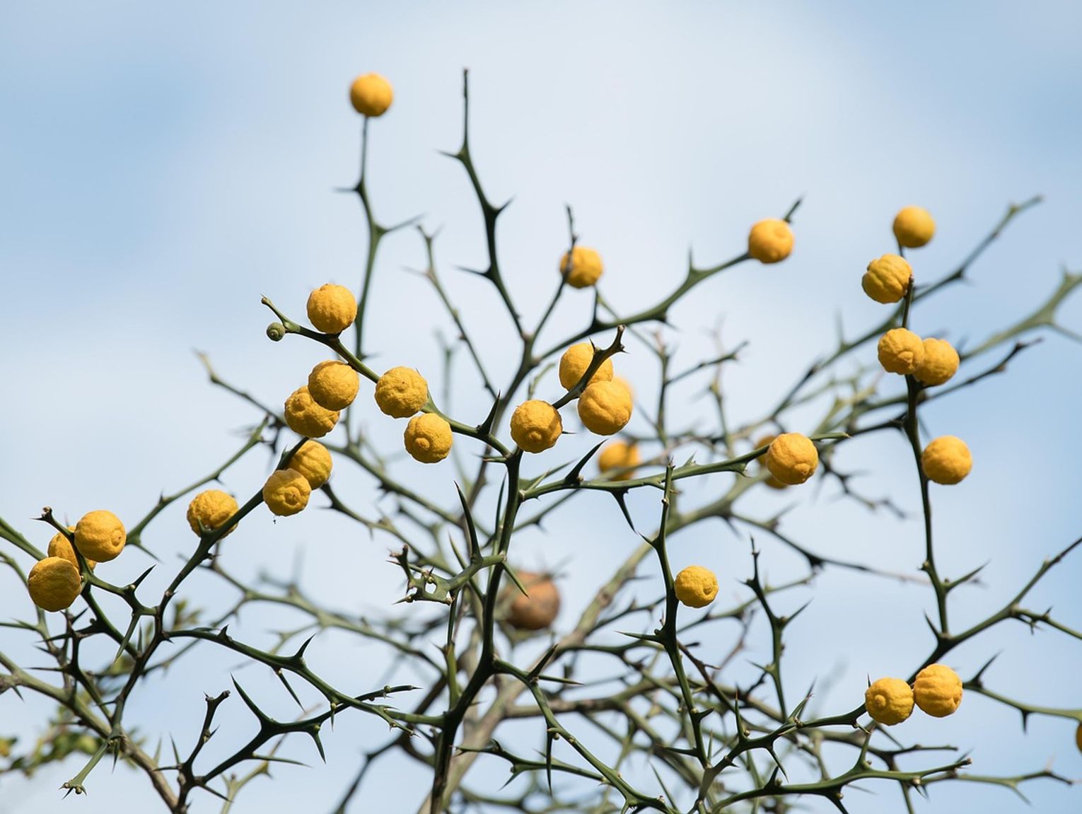 Pogoda na poniedziałek. Sprawdź, jaka będzie aura