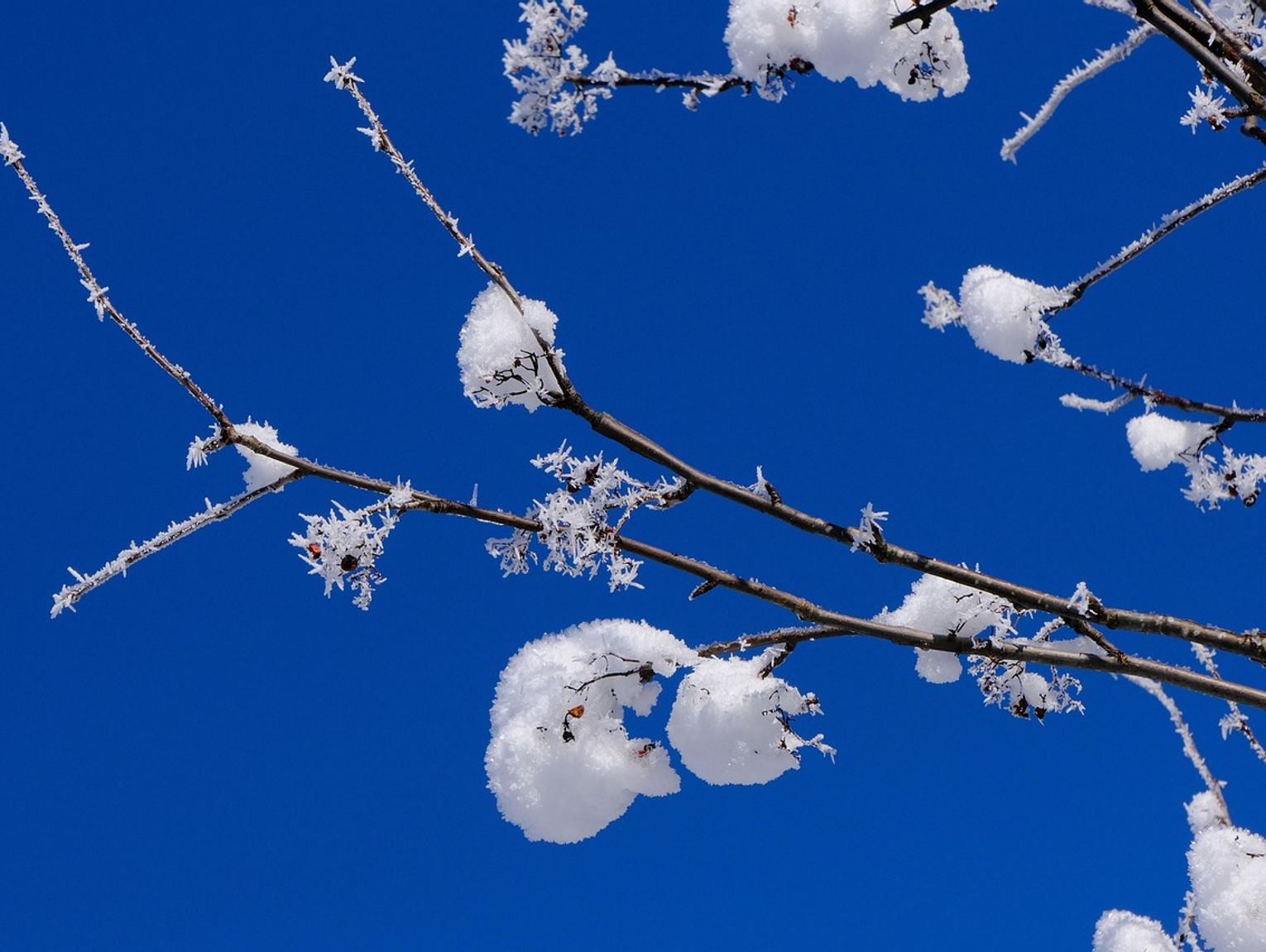 Pogoda na poniedziałek. Sprawdź, jaka będzie aura
