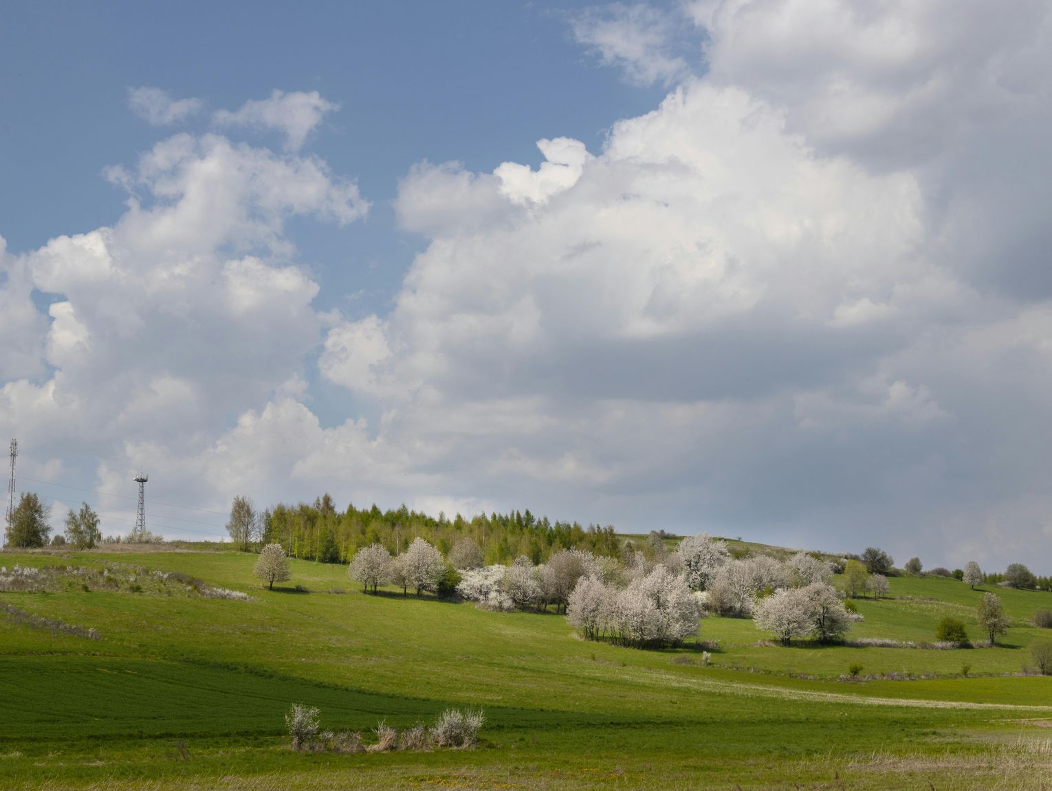 Pogoda na poniedziałek. Sprawdź, jaka będzie aura
