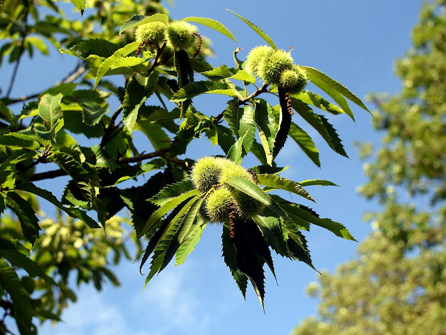 Pogoda na poniedziałek. Sprawdź, jaka będzie jutro aura