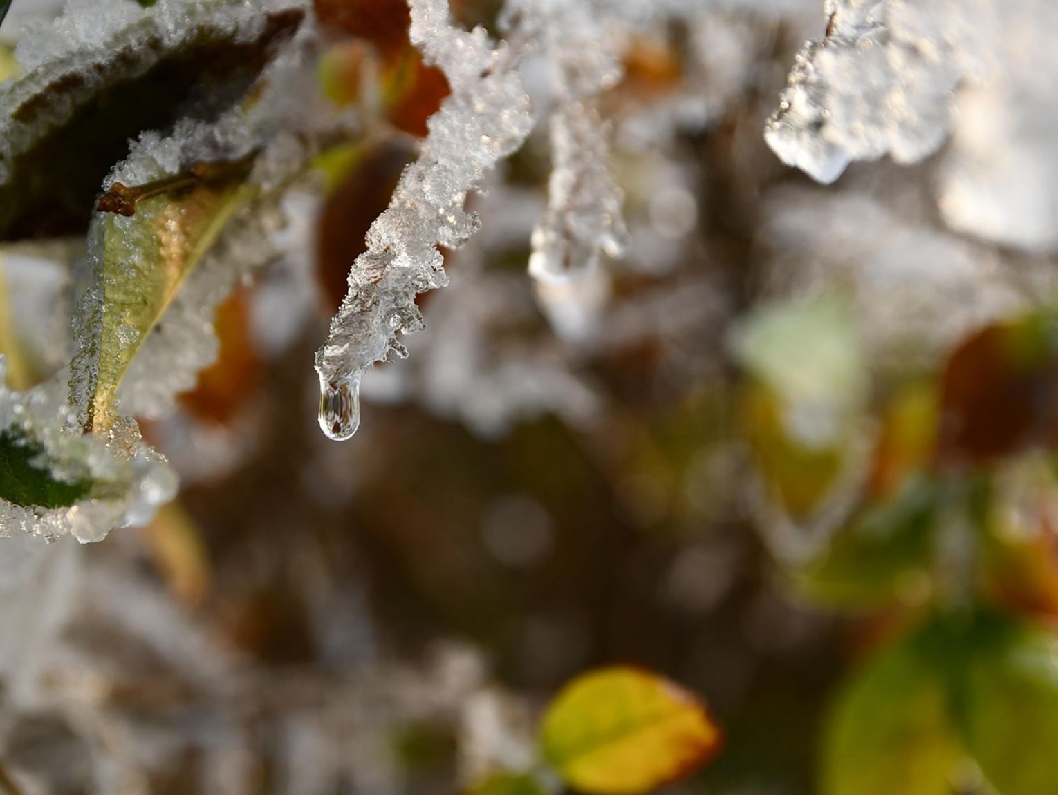 Pogoda na poniedziałek. Temperatura "na plusie"