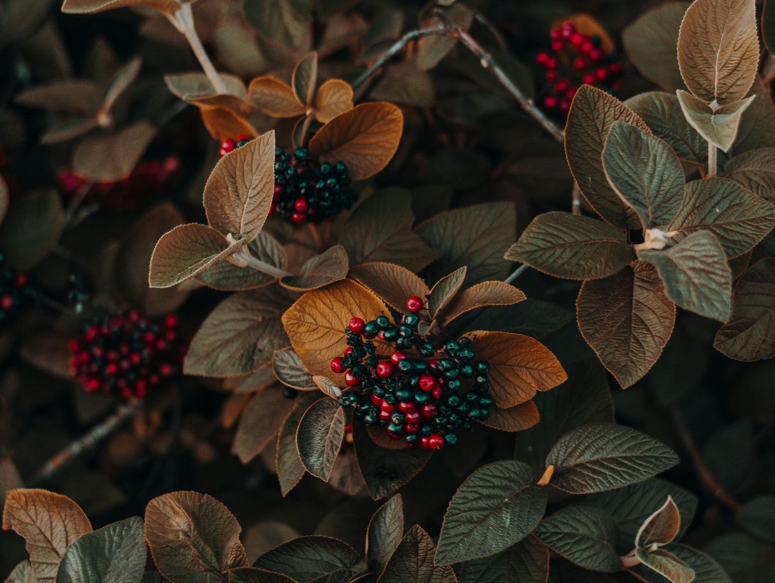 Pogoda na środę. Jesień w pełni!