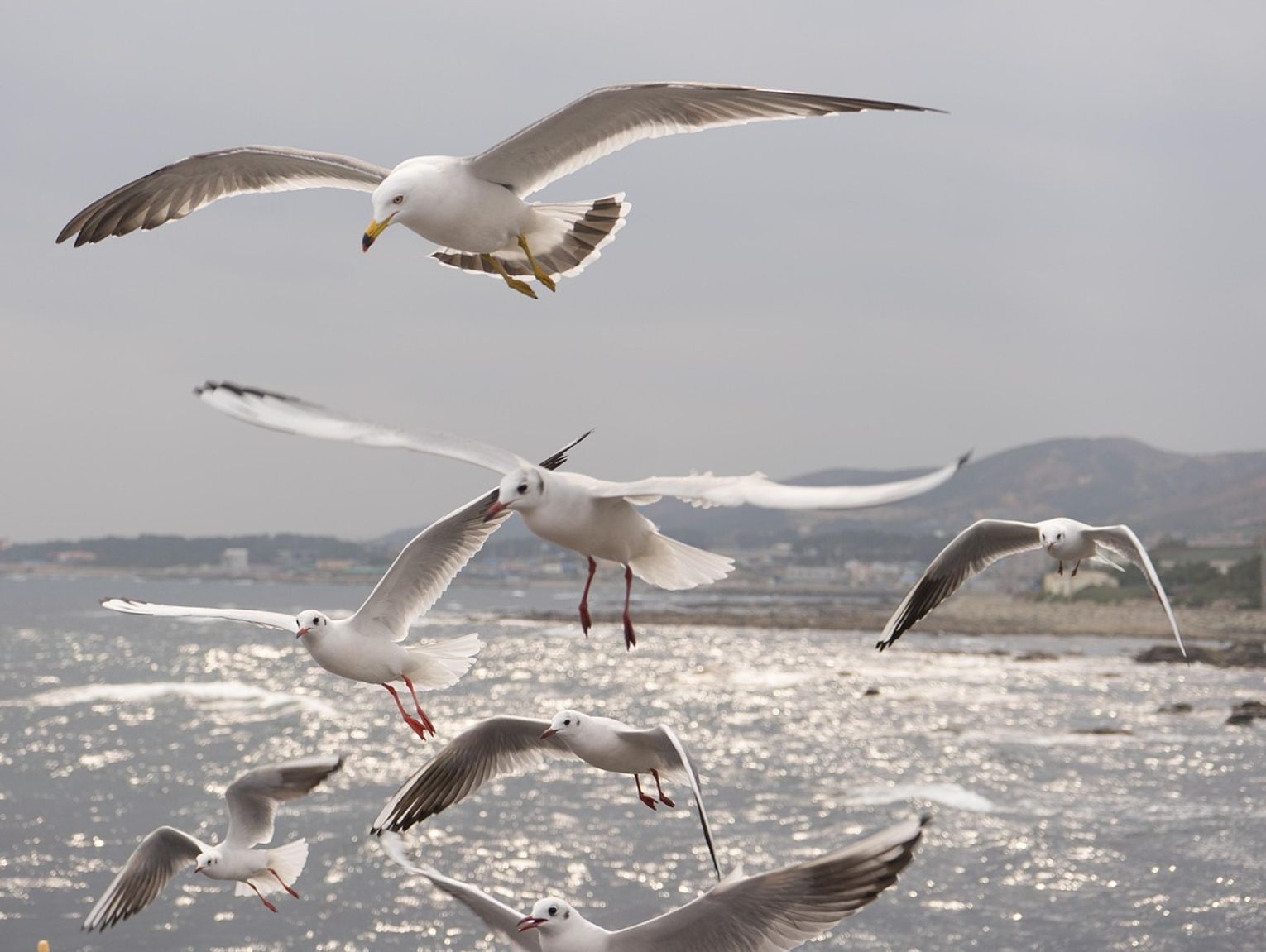 Pogoda na środę. Przedsmak nadchodzącej fali upałów