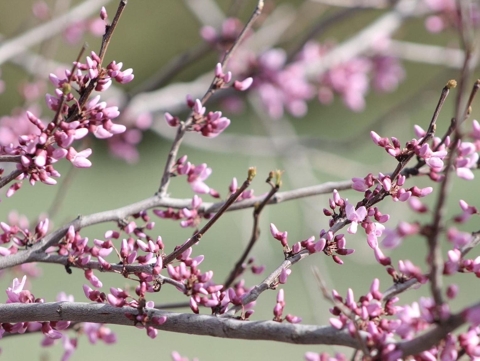 Pogoda na środę. Sprawdź, jaka będzie aura