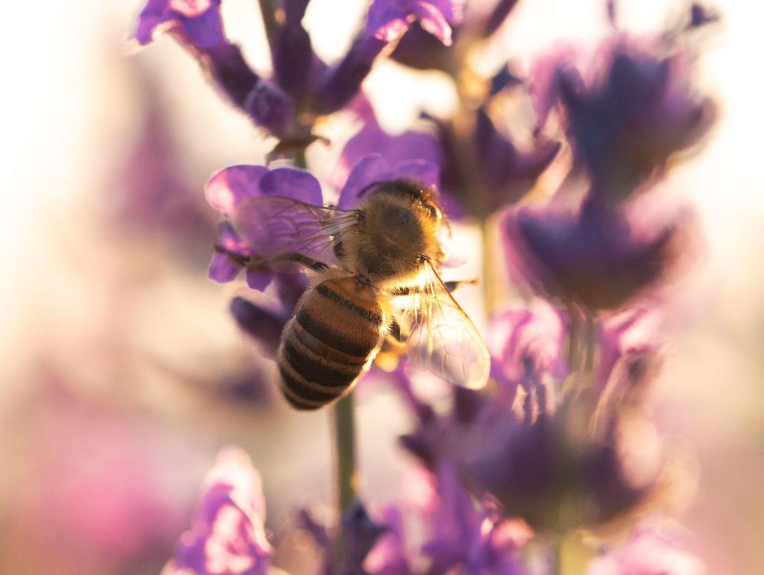 Pogoda na środę. Sprawdź, jaka będzie aura