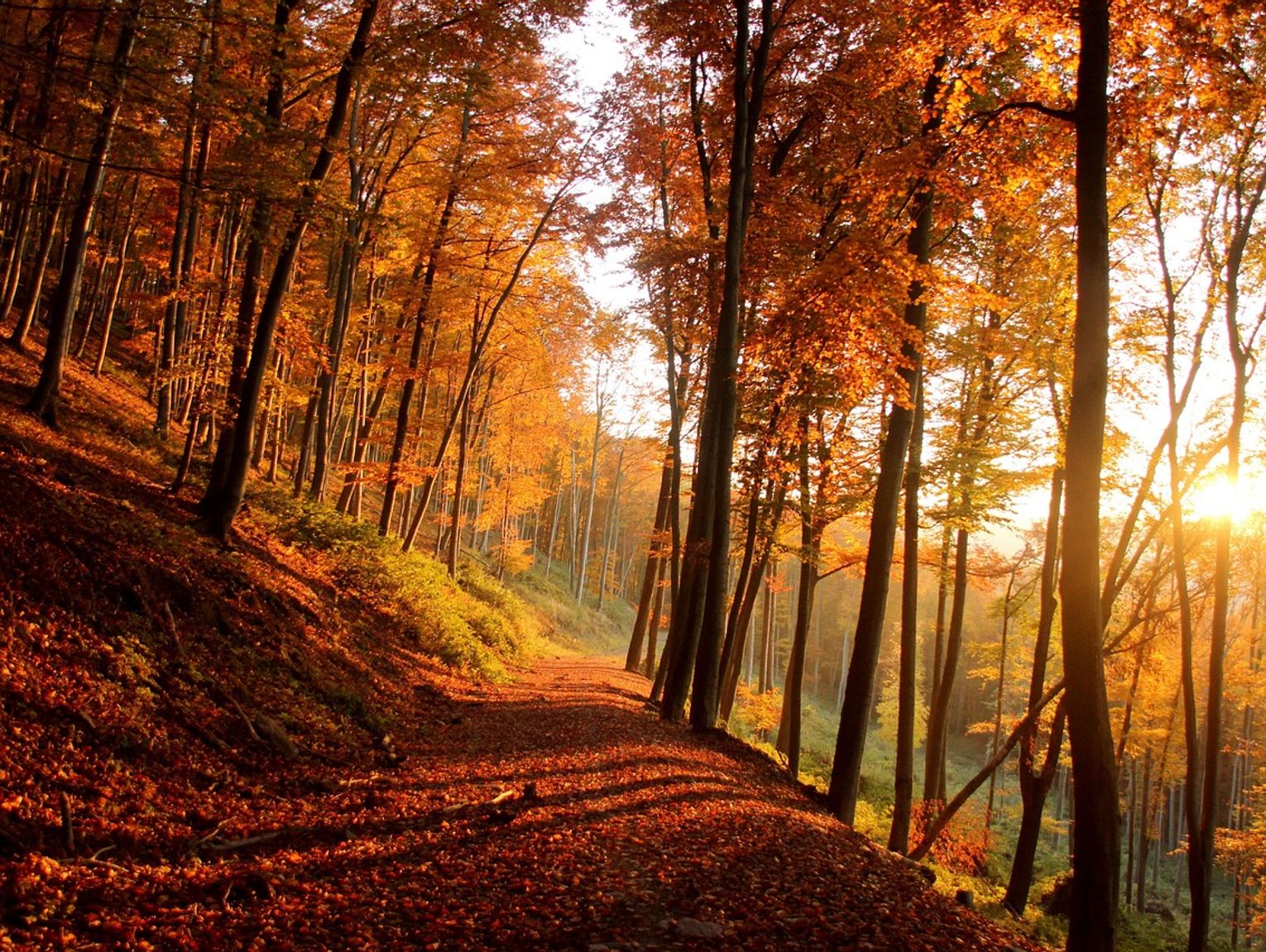 Pogoda na środę. Sprawdź, jaka będzie aura